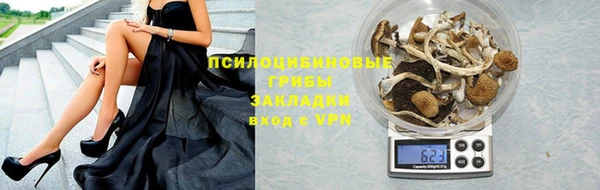 Альфа ПВП Медногорск