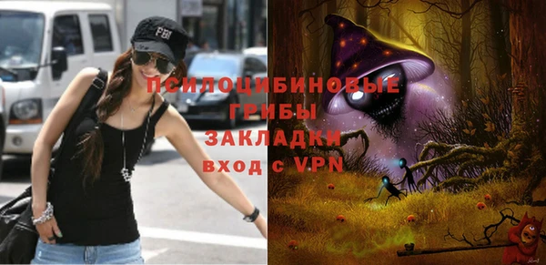 Альфа ПВП Медногорск