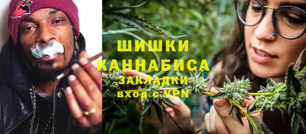 гидра Ачинск