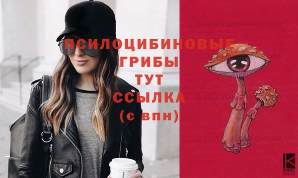 Альфа ПВП Медногорск
